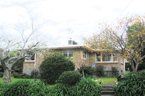 Photo of property in 23 Paine Street, Judea, Tauranga, 3110