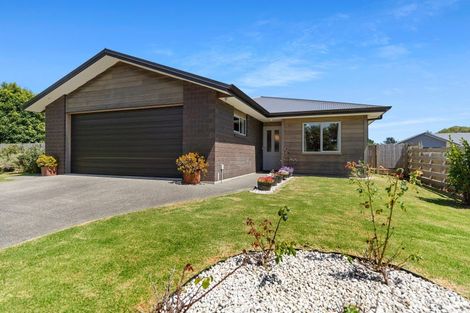 Photo of property in 12 Tamihana Street, Otaki, 5512