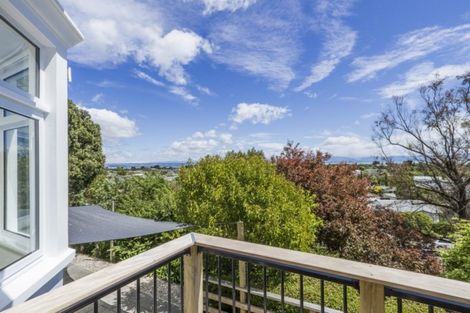 Photo of property in 87 Tahunanui Drive, Tahunanui, Nelson, 7011