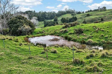 Photo of property in 63 Porter Road, Paparoa, 0571