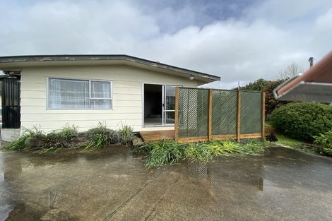 Photo of property in 20 Clyde Street, Renwick, 7204