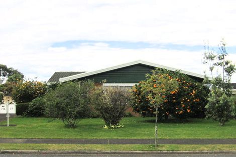 Photo of property in 77 Te Hono Street, Maungatapu, Tauranga, 3112