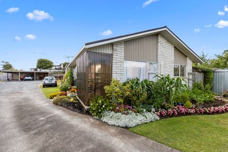 Photo of property in 1/196 Williams Street, Te Awamutu, 3800