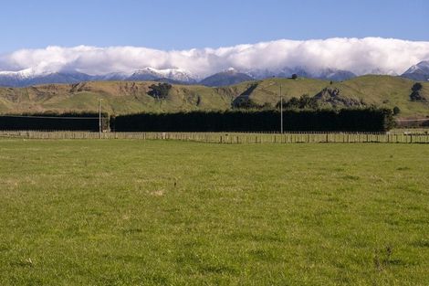Photo of property in 1003 State Highway 2, Mikimiki, Masterton, 5881
