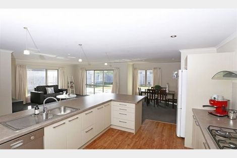 Photo of property in 14 Hector Drive, Rototuna North, Hamilton, 3210