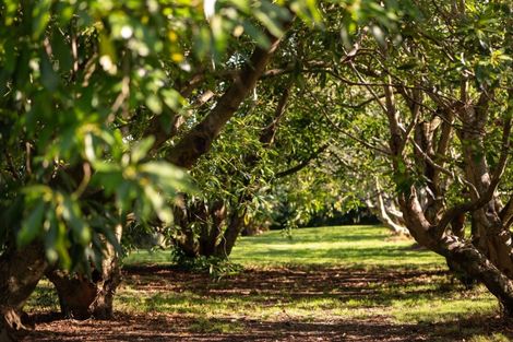 Photo of property in 10a Bridgman Lane, Tanners Point, Katikati, 3177