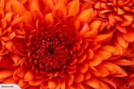 Photo of property in 63 Appenzell Drive, Whakatane, 3120