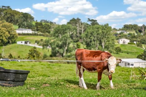 Photo of property in 19 Protea Lane, Kaiwaka, 0573