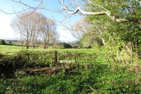 Photo of property in 25 Heatherlea Road East, Levin, 5571