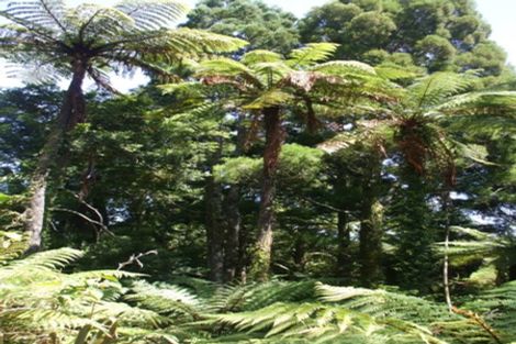 Photo of property in 61 Glasseye Drive, Little Wanganui, Karamea, 7893