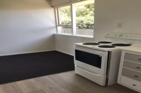Photo of property in 4/102 Edward Avenue, Edgeware, Christchurch, 8013