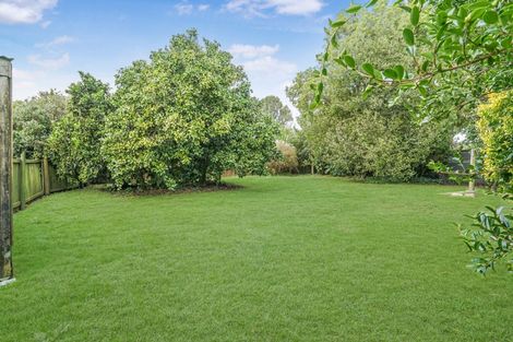 Photo of property in 19 Patricia Avenue, Hamilton East, Hamilton, 3216