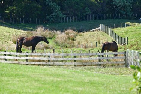 Photo of property in 313 Pukapuka Road, Pohuehue, Warkworth, 0983