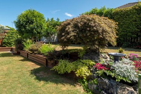 Photo of property in 29 Beaumaris Boulevard, Bethlehem, Tauranga, 3110