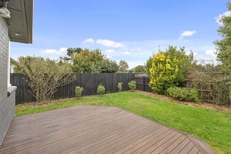 Photo of property in 123 Harewood Road, Papanui, Christchurch, 8053
