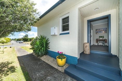Photo of property in 43 Millar Street, Terrace End, Palmerston North, 4410