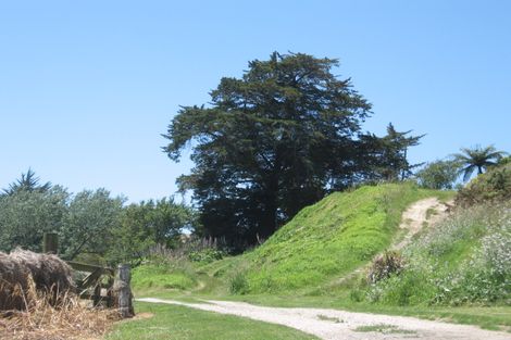 Photo of property in 664 Wilson Road North, Maketu, Paengaroa, 3189