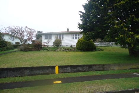 Photo of property in 8 Philip Street, Putaruru, 3411