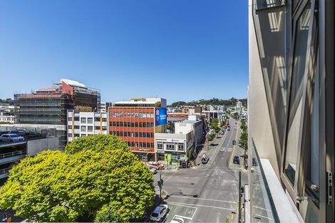 Photo of property in Vsp South, 502/166 Victoria Street, Te Aro, Wellington, 6011
