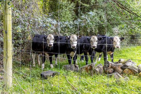 Photo of property in 351 Loburn Terrace Road, Loburn, Rangiora, 7472