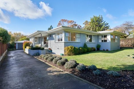 Photo of property in 29 Selwyn Road, Havelock North, 4130