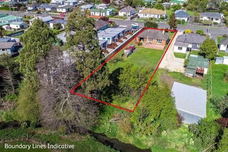 Photo of property in 81 Kuripuni Street, Kuripuni, Masterton, 5810