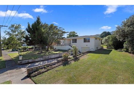 Photo of property in 21 Carlton Street, Te Aroha, 3320