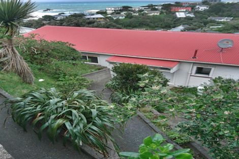 Photo of property in 11 Oku Street, Island Bay, Wellington, 6023
