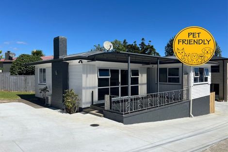 Photo of property in 43 Water Street, Otahuhu, Auckland, 1062