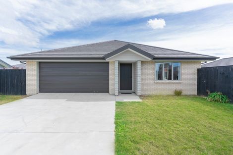 Photo of property in 38 Karere Avenue, Marshland, Christchurch, 8083