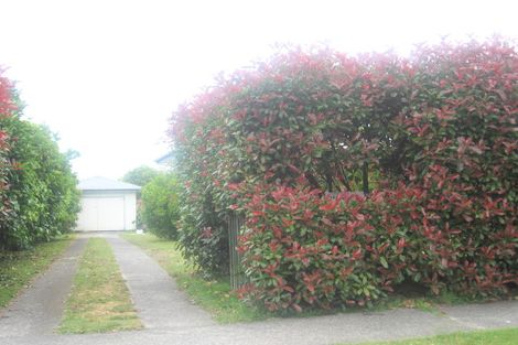 Photo of property in 38 Beatty Avenue, Te Puke, 3119