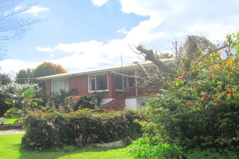 Photo of property in 52 Darraghs Road, Brookfield, Tauranga, 3110