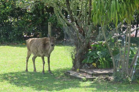 Photo of property in 31 Orchard Road, Kerikeri, 0295