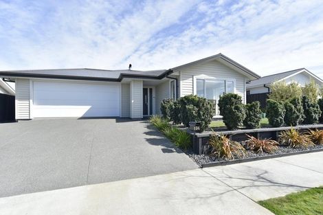 Photo of property in 24 Macphail Avenue, Rangiora, 7400