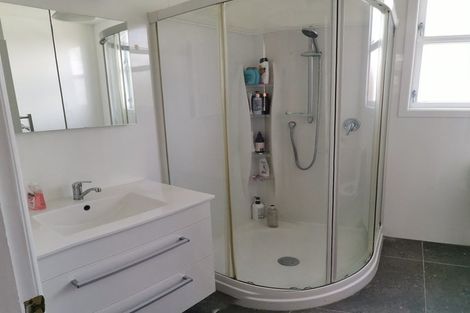 Photo of property in 20 Carrington Street, Mount Cook, Wellington, 6021