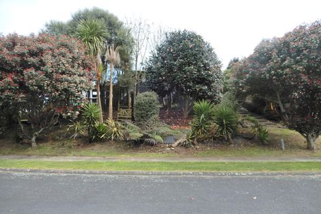 Photo of property in 110 Reservoir Street, Putaruru, 3411