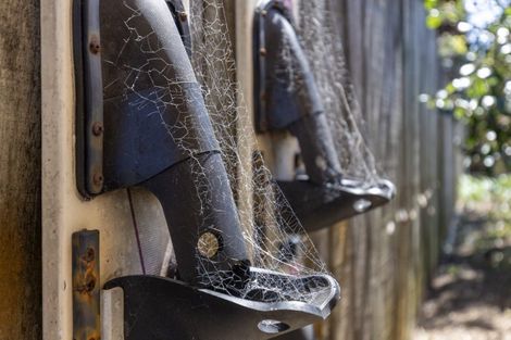 Photo of property in 2 Kanawa Street, Waikanae, 5036