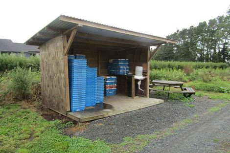 Photo of property in 549a Seddon Road, Gordonton, Hamilton, 3287