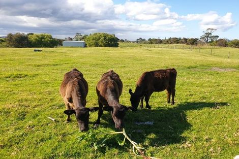 Photo of property in 5a Doctors Hill Road, Ruakaka, Waipu, 0582