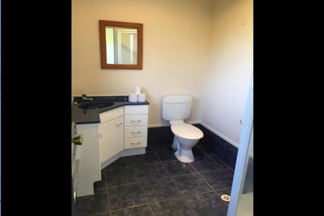 Photo of property in 29 Winter Street, Fairfield, Hamilton, 3214