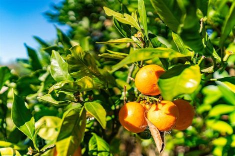 Photo of property in 9 Marshall Road, Kaiwaka, 0573