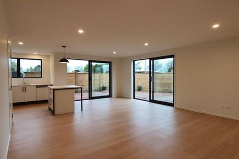 Photo of property in 2b Martin Street, Fairfield, Hamilton, 3214