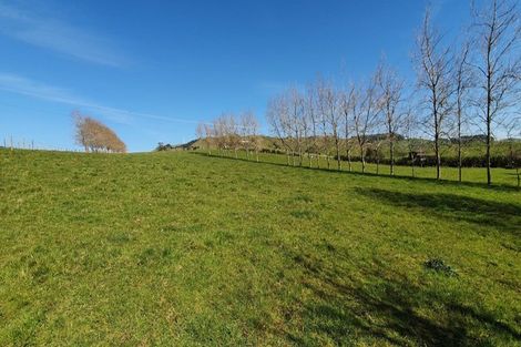 Photo of property in 105 Matakotea Road, Raglan, 3295