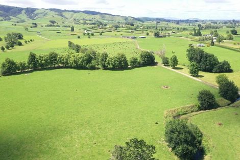 Photo of property in 231 Grice Road, Rotoorangi, Cambridge, 3495