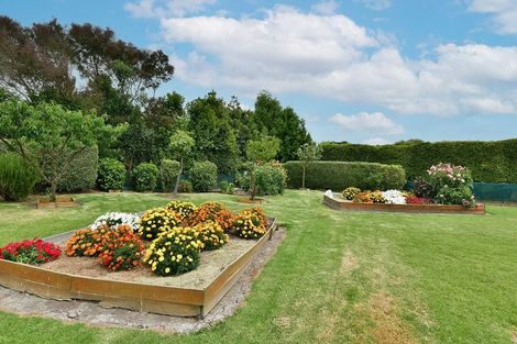 Photo of property in 57 Shelly Beach Road, Shelly Beach, Helensville, 0874