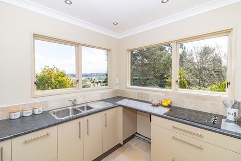 Photo of property in 20 Shakespeare Road, Bastia Hill, Whanganui, 4500