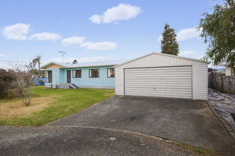 Photo of property in 23 Douglas Street, Levin, 5510