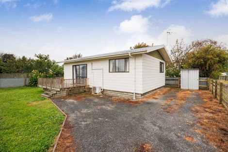 Photo of property in 45 Avenue Road, Foxton, 4814