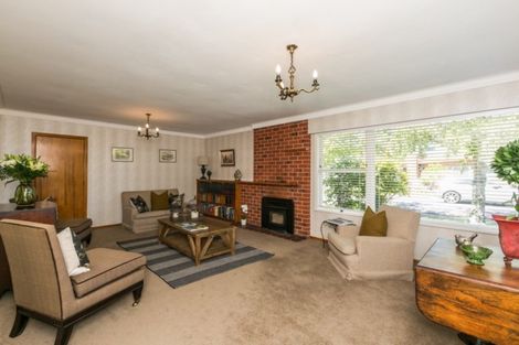 Photo of property in 1 Shortland Place, Havelock North, 4130