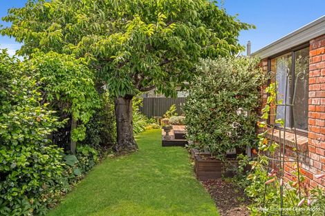 Photo of property in 147 Redwood Street, Redwoodtown, Blenheim, 7201